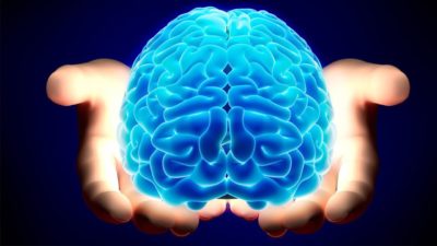 Power of the Human Brain – Are You Controlling It?